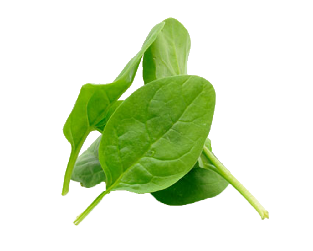 Spinacino o spinacio? Due verdure simili, ma diverse