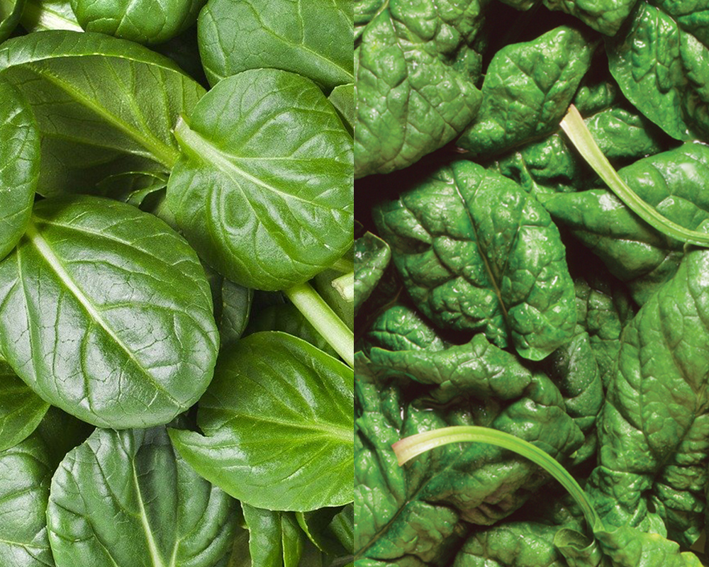 Baby Spinach or Spinach? Two similar but different vegetables