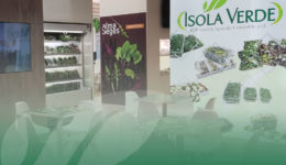 OP-Isola-verde_Fruit-Logistica-2023-tra-sostenibilità-e-tecnologia